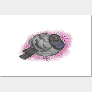 Lovey Pigeon Posters and Art